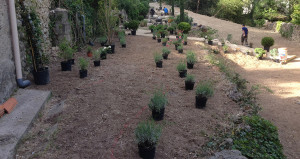 Réalisation aménagement jardin 6
