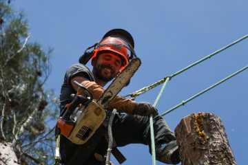 Elagage, Abattage arbre et Débroussaillage