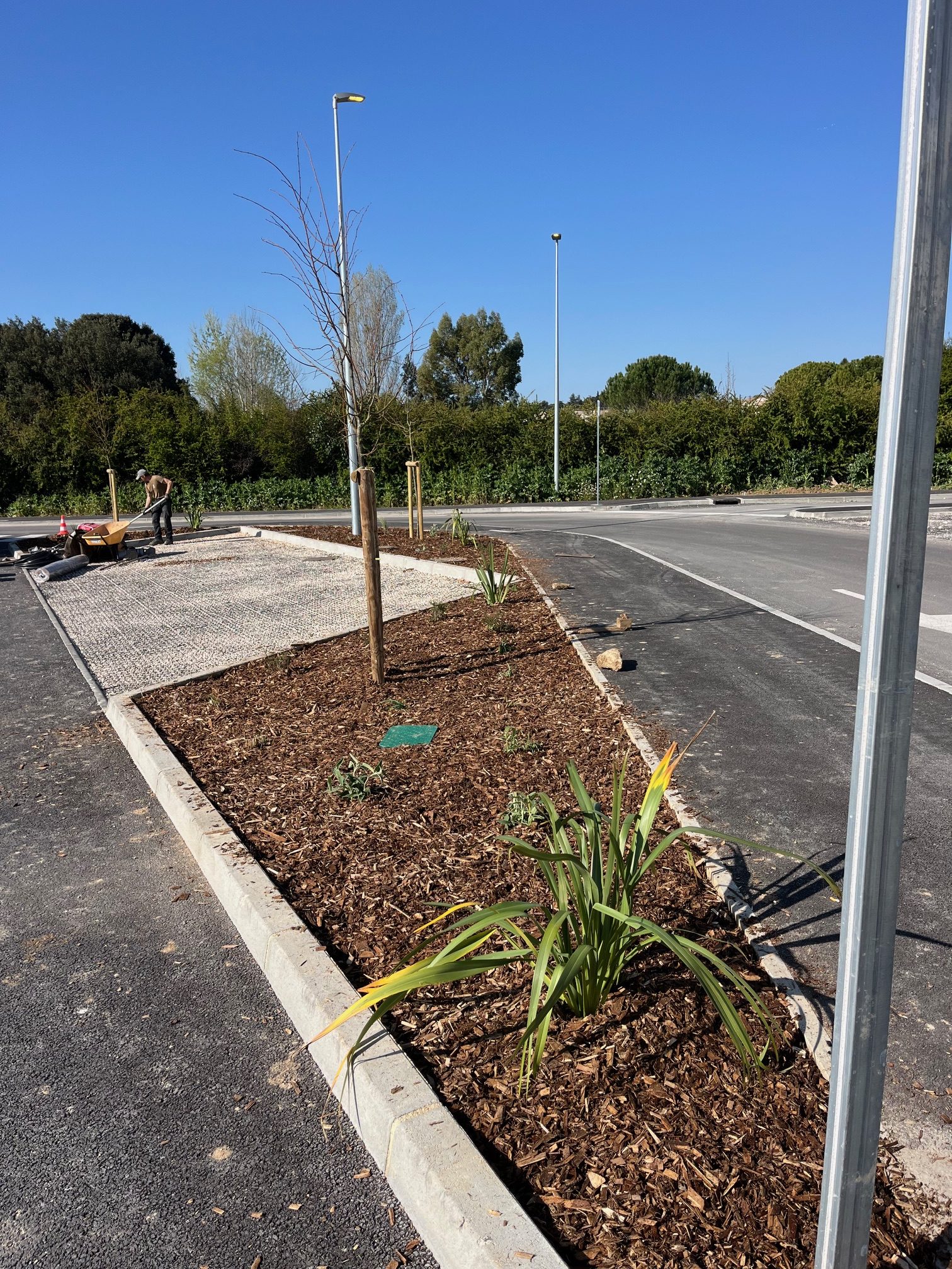 PLANTATION ARBRE ET ARBUSTES PAYSAGISTE AIX EN PROVENCE